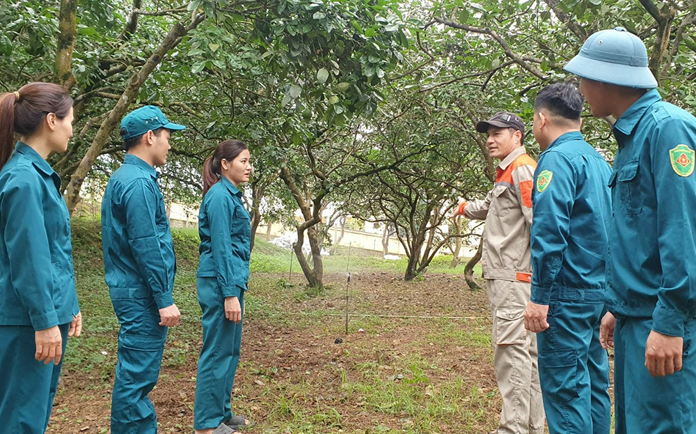 Hoàng Thị Hồng Thương (thứ 3, từ trái sang) giới thiệu với các đồng đội về mô hình trồng bưởi của gia đình.