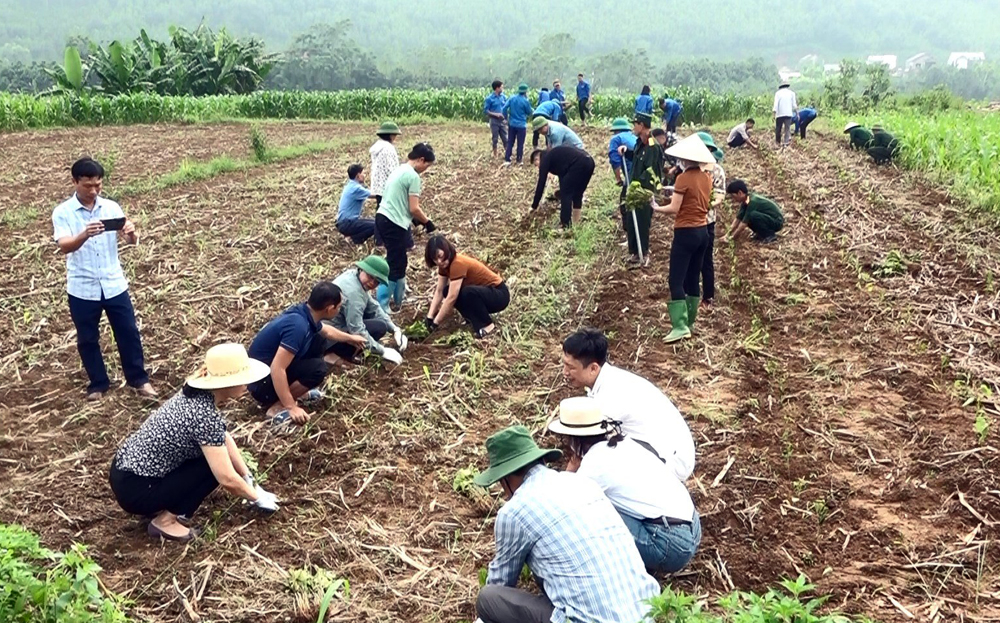 Các đồng chí lãnh đạo huyện, xã cùng đông đảo nhân dân ra quân trồng 3 ha dâu tằm.