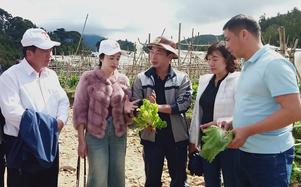 Lãnh đạo huyện Mù Cang Chải tham quan mô hình trồng rau của Công ty TNHH Sản xuất nấm ăn, nấm dược liệu Mù Cang Chải tại xã Nậm Khắt.