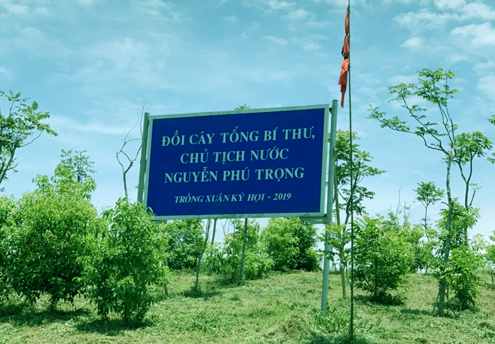 Xã Việt Cường, huyện Trấn Yên treo cờ rủ tưởng nhớ tại Đồi cây Tổng Bí thư, Chủ tịch nước Nguyễn Phú Trọng đã trồng tại Lễ phát động 