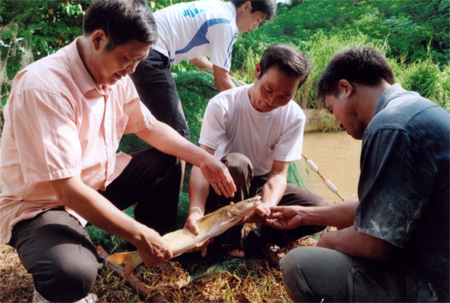 Các hộ nuôi cá quất ở xã Tân Hợp đang trao đổi kinh nghiệm.