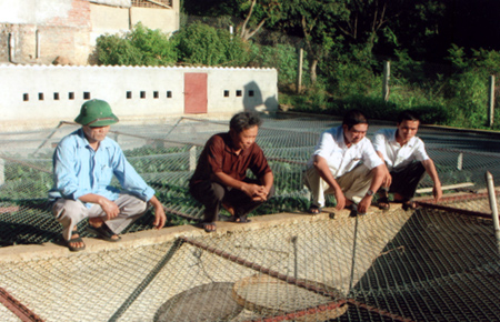Ông Chiến (áo nâu thứ 2 từ trái sang) đang giới thiệu mô hình nuôi ba ba sinh sản với cán bộ Hội Nông dân huyện Văn Chấn, thị trấn nông trường Nghĩa Lộ.

