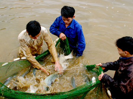 Tỉnh đã có chủ trương dành nguồn đáng kể đầu tư xây dựng một số mô hình sản xuất nông lâm nghiệp có tính thực tiễn cao.