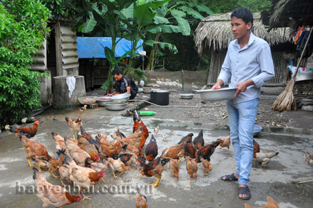 Đảng viên trẻ Bồ Xuân Tân bước đầu thành công trong mô hình kinh tế trang trại.
