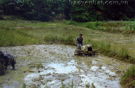 Người dân ở bản Đồng Ruộng đã đưa cơ giới hóa vào sản xuất nông nghiệp.