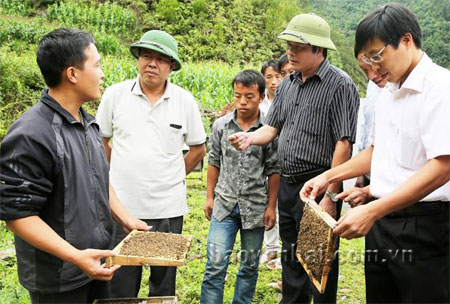 Các đồng chí lãnh đạo huyện Mù Cang Chải trao đổi với anh Nguyễn Văn Toản về hướng phát triển nghề nuôi ong.