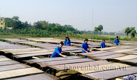 Mô hình sản xuất miến đao của anh Nguyễn Khắc Hiếu - Bí thư Đoàn xã Giới Phiên được nhiều hội viên thanh niên đến tham quan, học tập kinh nghiệm.