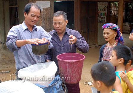 Nhờ có kiến thức nuôi trồng, ông Ngoày luôn mạnh dạn đầu tư cho sản xuất. Ảnh: Ông Ngoày (giữa) mua cá giống về nuôi thả ao nhà.
