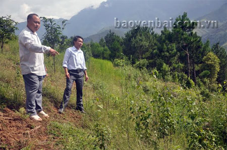 Ông Hờ A Su - Phó bí thư Đảng ủy xã Xà Hồ chỉ cho cán bộ Phòng Văn hóa - Thông tin huyện khu vực quy hoạch nghĩa địa ở thôn Đầu Cầu.