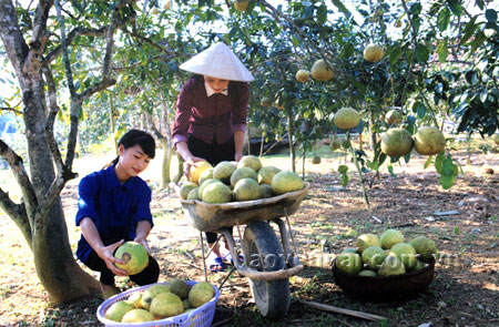 Vườn cổ tích mùa hè