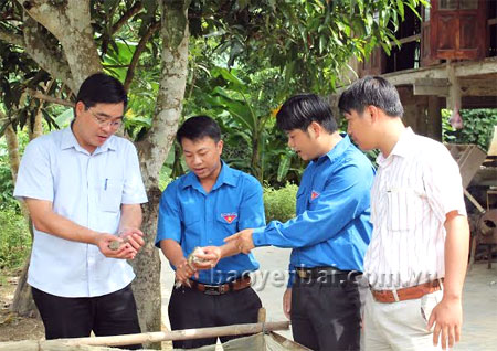 Đồng chí Nông Việt Yên - Bí thư Tỉnh đoàn Yên Bái (thứ nhất trái sang) thăm mô hình nuôi ếch của thanh niên huyện Lục Yên.
