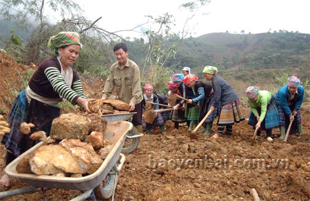 Người dân thôn Bu Cao, xã Suối Bu, huyện Văn Chấn tích cực khai hoang, mở rộng diện tích lúa nước.