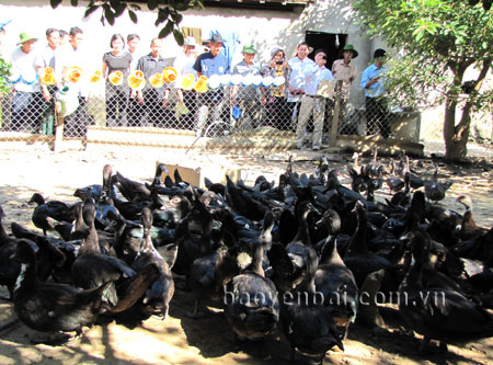 Đoàn đại biểu người có uy tín trong đồng bào dân tộc thiểu số tỉnh Yên Bái thăm mô hình chăn nuôi lợn, gà, ngan của ông Nguyễn Xuân Việt ở xã Trường Xuân, huyện Quảng Ninh (Quảng Bình).