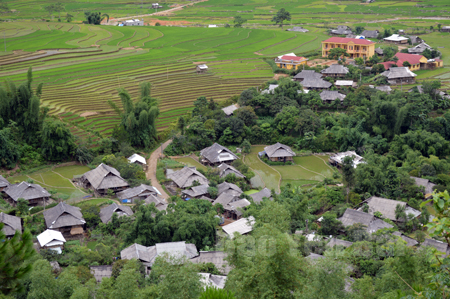 Bản Lìm Thái, xã Cao Phạ, huyện Mù Cang Chải.