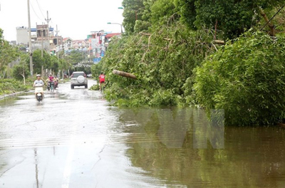 Bão số 1 gây nhiều thiệt hại cho các tỉnh duyên hải Bắc Bộ.