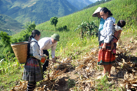 Cán bộ khuyến nông huyện Trạm Tấu hướng dẫn đồng bào Mông canh tác ngô bền vững trên đất dốc.
(Ảnh: S.N)