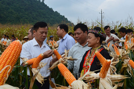 Lãnh đạo huyện Lục Yên kiểm tra tình hình phát triển kinh tế tại cơ sở.