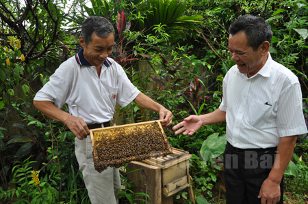 Ông Trần Đức Thắng (bên trái) với mô hình nuôi ong lấy mật cho hiệu quả kinh tế cao.