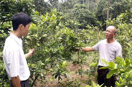 Ông Thi (bên phải) giới thiệu vườn cây ăn quả cho giá trị kinh tế cao của gia đình.