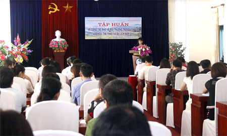 Quang cảnh lớp học.