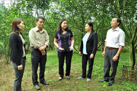 Lãnh đạo huyện Lục Yên trao đổi với người dân xã Khánh Hòa về công tác phát triển cây ăn quả ở địa phương.