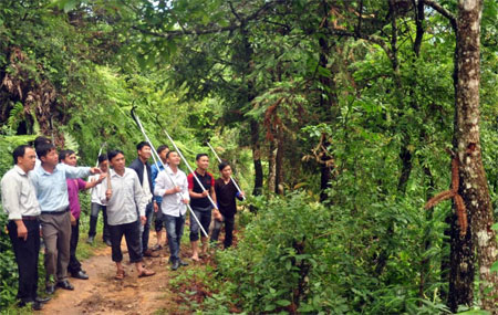 Lãnh đạo xã Kim Nọi cùng lực lượng xung kích đi kiểm tra rừng.