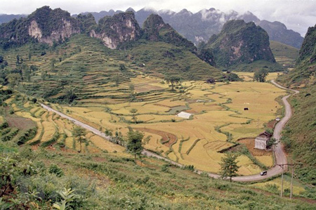Đèo Mã Phục ở xã Quốc Toản (huyện Trà Lĩnh, Cao Bằng) nằm trên tuyến Quốc lộ 3, nổi tiếng bởi sự hiểm trở và vẻ đẹp thiên nhiên kỹ vỹ.