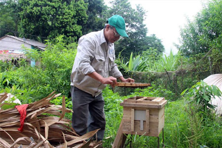 Nhờ nuôi ong mật, gia đình ông Trần Xuân Trường ở thôn Trực Bình 2, xã Minh Bảo có thu nhập trên 100 triệu đồng mỗi năm.