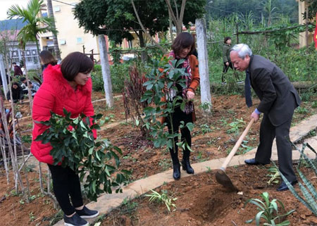 Lãnh đạo Hội Đông y tỉnh trồng cây thuốc nam dịp đầu xuân tại huyện Yên Bình.