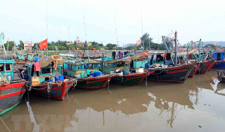 Tàu, thuyền vào neo đậu tránh bão an toàn tại khu cảng cá Ngọc Hải, Đồ Sơn.