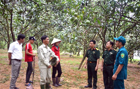 Anh Hoàng Văn Nam (thứ 3, trái sang) trao đổi kinh nghiệm trồng, chăm sóc bưởi.