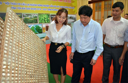 Lãnh đạo Bộ Nông nghiệp và Phát triển nông thôn tham quan né gỗ vuông cho tằm làm kén tại huyện Trấn Yên.