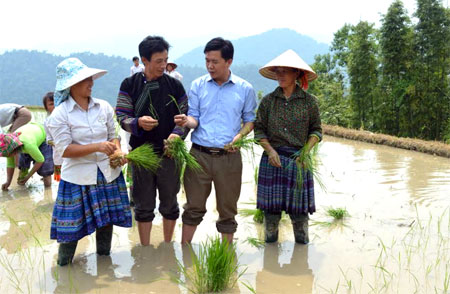 Bí thư Chi bộ thôn Khe Táu - Lù A Dờ (thứ hai bên trái) cùng lãnh đạo xã Phong Dụ Thượng trao đổi với bà con người Mông trong thôn về kinh nghiệm canh tác lúa nước.