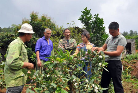 Ông Phạm Văn Đương (đứng giữa) trao đổi với các hộ dân về kỹ thuật chăm sóc cây ăn quả.
