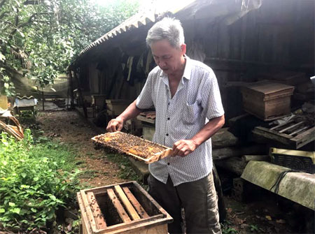 Ông Nguyễn Văn Tuyên kiểm tra chất lượng đàn ong.