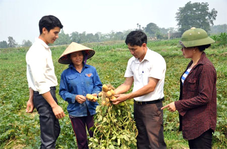 Nông dân huyện Văn Yên tích cực đưa các loại cây trồng cho năng suất, chất lượng cao vào sản xuất.