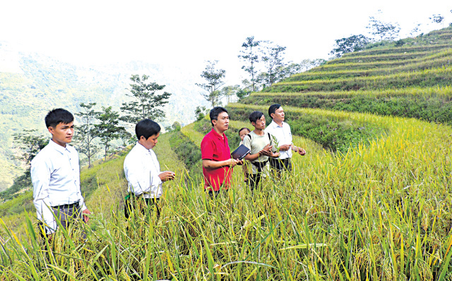 Cán bộ xã và thôn Chống Tầu, xã Làng Nhì luôn sâu sát cơ sở, kịp thời nắm bắt tình hình sản xuất của nhân dân