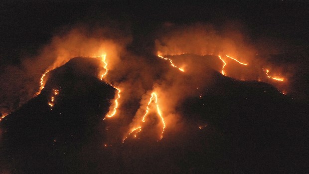 Các đám cháy tại rừng Amazon ở Tocantins, Brazil.