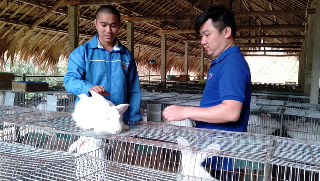 Anh Nịnh Văn Bản (bên trái) chia sẻ kinh nghiệm nuôi thỏ với đoàn viên trong Chi đoàn thôn Cây Mỡ.