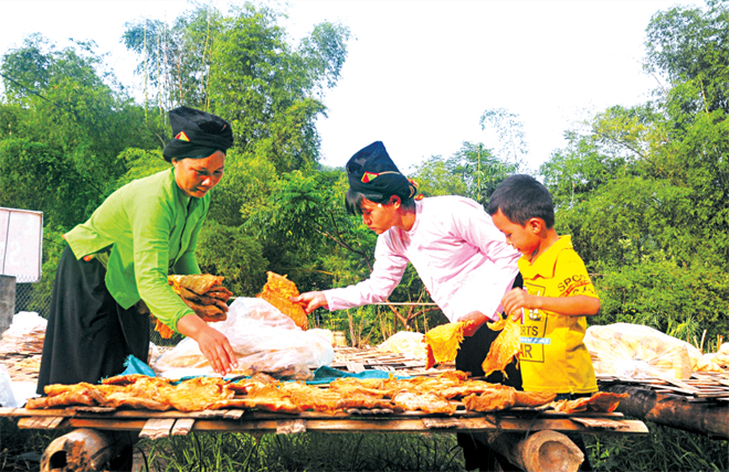 Người dân xã Lâm Thượng, huyện Lục Yên tăng thu nhập, góp phần giảm nghèo nhờ trồng và sơ chế đặc sản măng mai.