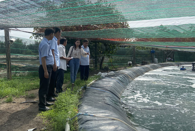 Mô hình nuôi tôm công nghệ cao cho doanh thu 10 tỷ đồng mỗi năm của ông Nguyễn Trường Đại, ấp Thống Nhất, xã Vĩnh Thanh, huyện Nhơn Trạch, tỉnh Đồng Nai. Ông Nguyễn Trường Đại là 1 trong số 63 