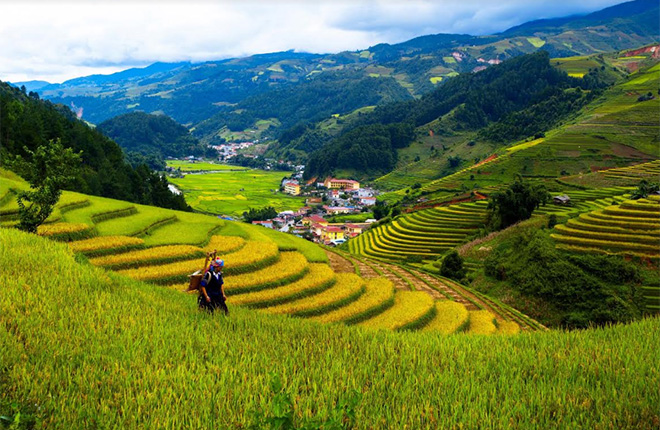 through communications and promotion activities, the beauty of Mu Cang Chai will become closer to domestic and foreign friends.
