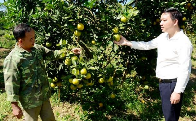 Lãnh đạo xã Mường Lai, huyện Lục Yên động viên nhân dân phát huy lợi thế địa phương để phát triển cây ăn quả có múi.