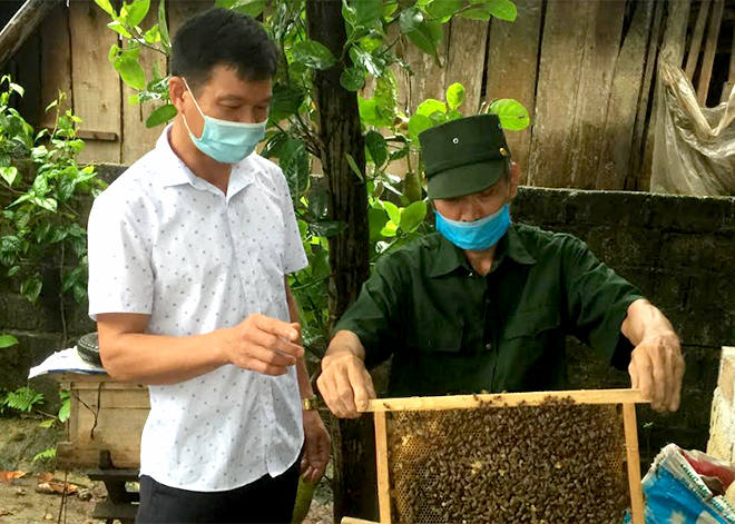 Cựu chiến binh Nguyễn Văn Toàn giới thiệu mô hình nuôi ong mật.
