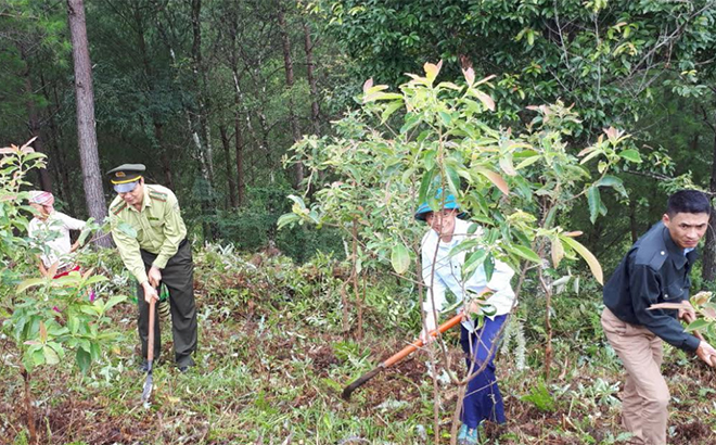 Lãnh đạo Chi cục Kiểm lâm hướng dẫn người dân thôn Kháo Chu, xã Bản Công phát dọn đường băng cản lửa phòng cháy rừng.