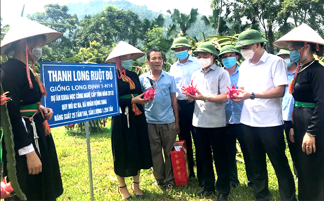 Đồng chí Đỗ Đức Duy - Ủy viên Ban Chấp hành Trung ương Đảng, Bí thư Tỉnh ủy, Trưởng đoàn đại biểu Quốc hội tỉnh cùng các đồng chí lãnh đạo tỉnh, huyện Yên Bình thăm mô hình trồng thanh long ruột đỏ của các hộ dân vùng Đông hồ.