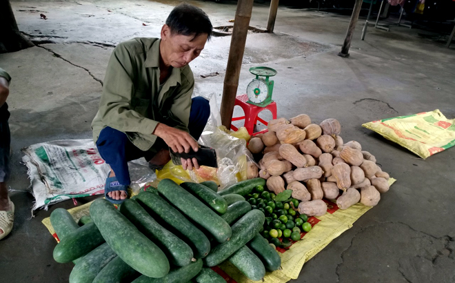 Giá bí xanh nhà ông Hiếu ở tổ dân phố 7, thị trấn Trần Phú mang bán ở chợ được giá chưa đầy 4.000 đồng/kg, chưa bằng 1/2 giá thu mua của thương lái vụ năm 2021.