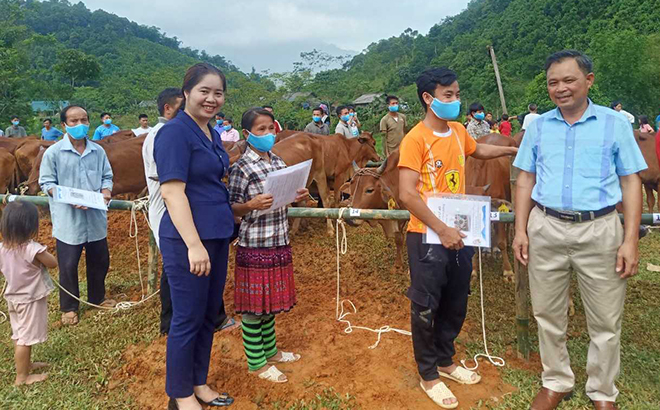 Hội LHPN tỉnh Yên Bái phối hợp với Tổ chức Samaritan’s Purse trao bò giống cho người dân.