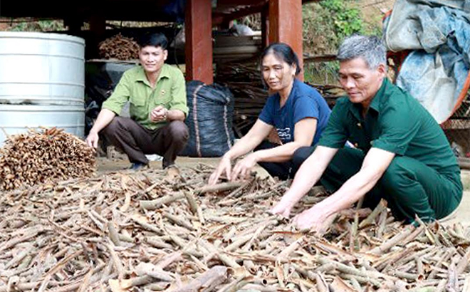 Mô hình chăn nuôi gia cầm và trồng quế của gia đình CCB Trần Văn Đồng - thôn Giàn Dầu (bên phải) cho thu nhập trên 100 triệu đồng/năm.