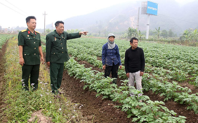 Hợp tác xã Dịch vụ Nông nghiệp Minh Quân do cựu chiến binh Lê Chí Công (thứ hai, bên trái) làm Chủ tịch Hội đồng quản trị, kiêm Giám đốc có doanh thu hàng năm đạt trên 600 triệu đồng, tạo việc làm cho hàng chục lao động địa phương.